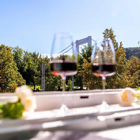 Downtown Riverfront Apartment